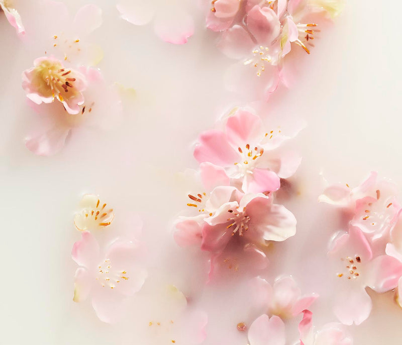 The Ritual of Sakura Parfum d'Intérieur