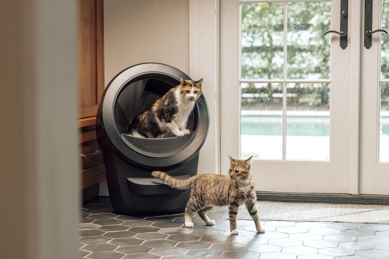 LITTER-ROBOT 4 BLACK