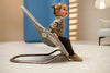 Maxi-Cosi Dove Pro Baby Bouncer from Birth - Elegance Beige