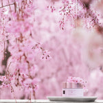 The Ritual of Sakura Body Scrub