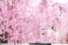 The Ritual of Sakura Parfum d'Intérieur
