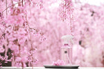 The Ritual of Sakura Parfum d'Intérieur