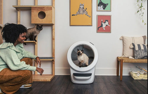 LITTER-ROBOT 4 WHITE