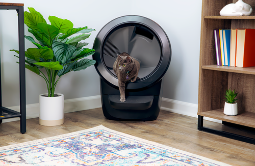 LITTER-ROBOT 4 BLACK